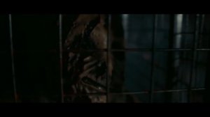 Царь зверей ( Алексей Горшенёв)