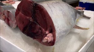 New Dubai Fish Market | Deira Waterfront Fish Market UAE | Massive & Clean Market