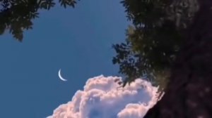 СЛУШАЙТЕ КОРАН И ЛЕЧИТЕСЬ ОТ БОЛЕЗНЕЙ ИН ШАА АЛЛАХ