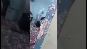 Запенили всё ,монтажная пена .