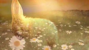 БЛОК   Зайчик