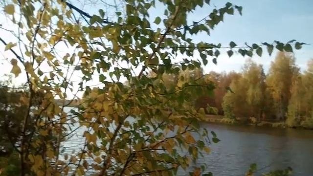 Листья Осени Кружатся!. ))