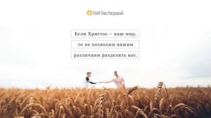 ХРИСТОС – НАШ МИР | Ежедневное христианское чтение | 29 июля 2021