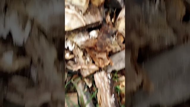 Коптильня своими руками ???