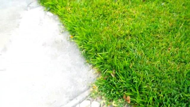 Previo fujilm finepix s2980 HD1080 смотреть онлайн