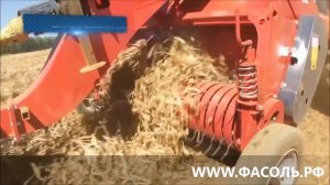 комбайн для укборки фасоли   фасолеуборочный комбайн прицепной