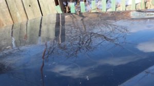 Индукционное удаление мелких вмятин на авто без покраски / Induction removal of small dents on a ca