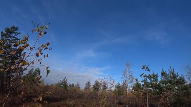 Загадочная Мещера. Озеро Оленье 2022 смотреть онлайн