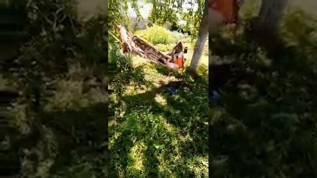 Декоративная мельница в саду своими руками. смотреть онлайн