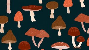 Матвей Северянин - Грибы