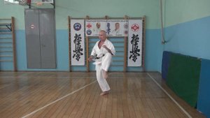 ШКОЛА КЁКУСИНКАЙ. РЭНРАКУ 5 (6 КЮ). ДЕТАЛИ