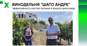 Винодельня "Шато Андре"