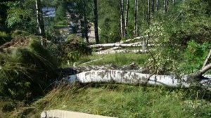 Ураган в Сосново.