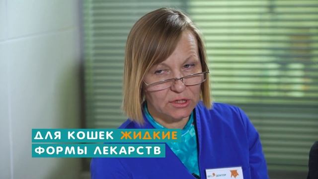 Как дать таблетку собаке или кошке. Ветеринарные советы смотреть онлайн