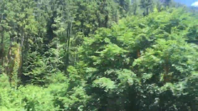 Вильдерсвиль Швейцария ?? смотреть онлайн