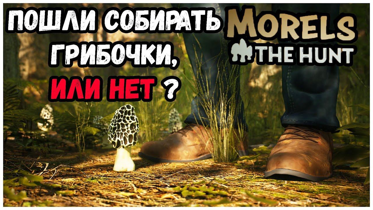 СИМУЛЯТОР ГРИБНИКА►Morels: The Hunt | Первый взгляд| Геймплей | Обзор