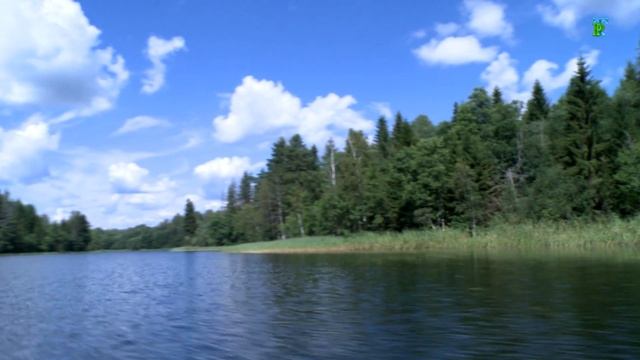Виртуальная экскурсия по озеру Бросно