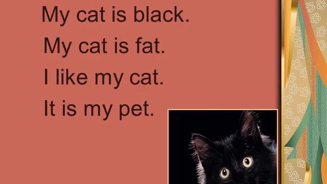 Essays on My Favourite Animal : Free Examples and Samples on StudyMoose