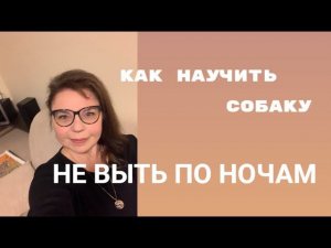 Как научить собаку не выть по ночам