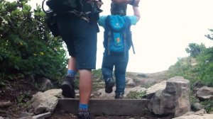 Маршрут "Альпийские луга", Горки Город / Походы в Красной Поляне