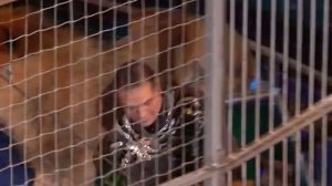 Рекорд в Курском цирке. аттракцион _В Созвездии Льва_-