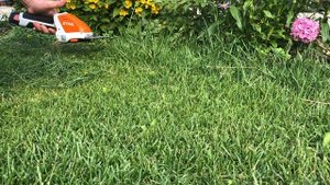 STIHL HSA 26