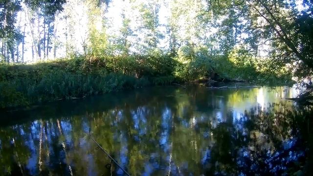 Реальная #рыбалка река Оскол. Голавль ты где? смотреть онлайн