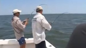 Ловля черного горбыля в Мексиканском заливе