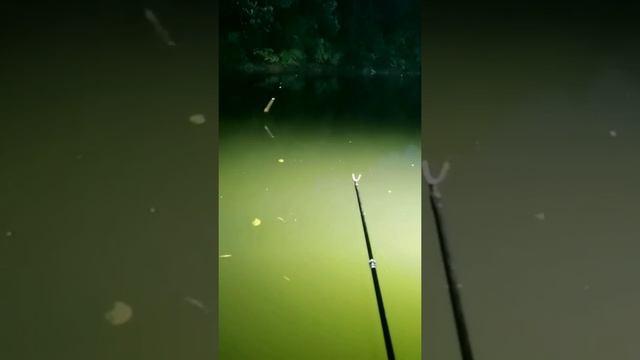 fishing videos  female fishing videos  fishing in the dark # 17