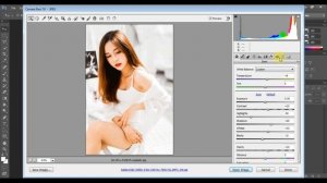 1 Minute Photoshop - Brown & White Color Grad FREE Camera Raw Preset