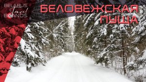 Беловежская пуща, Каменец и фольварк "Гвоздь" / Belarus Travel Brands