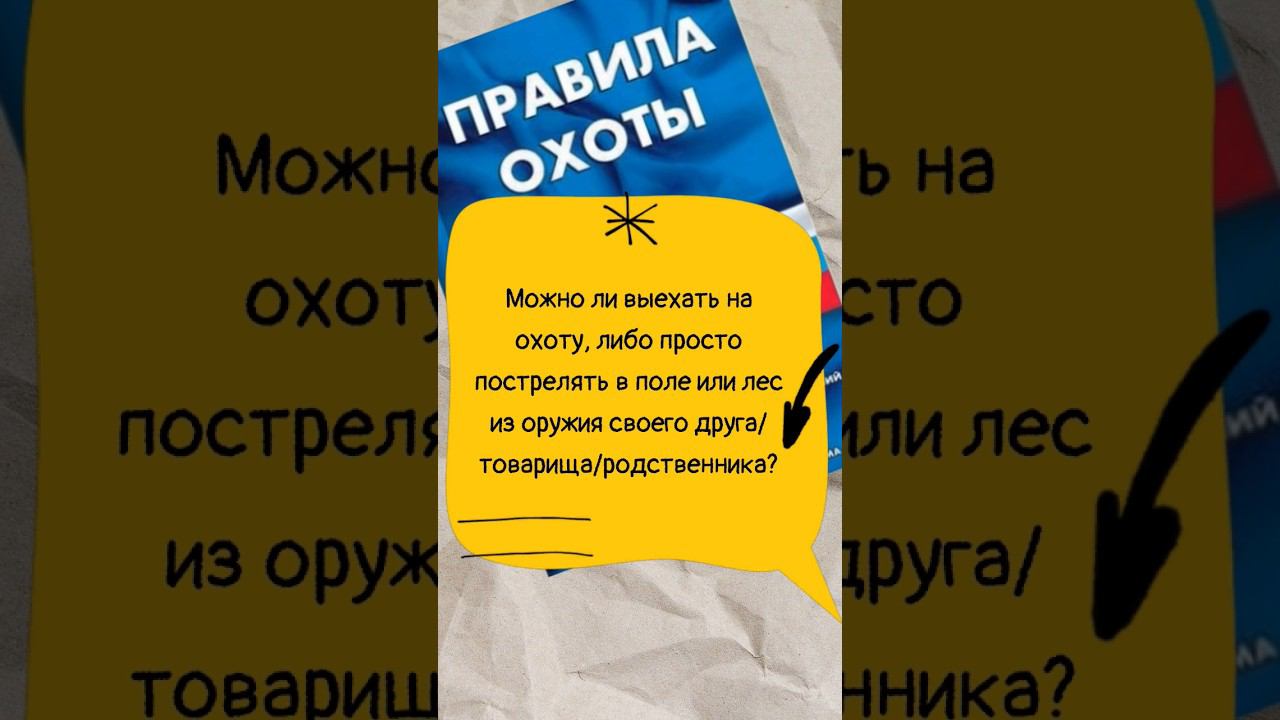 Можно ли выехать на охоту или просто пострелять из оружия своего друга/товарища? #мужскаякаморка смотреть онлайн