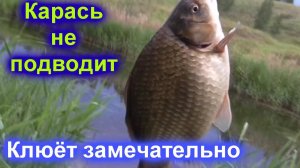 Карась 1,07 кг Рыба меня не подводит. Клюёт!!!