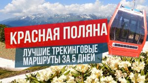 Красная Поляна Сочи: лучшие трекинговые маршруты за 5 дней