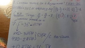 расчёт количества АТФ при β-окислении (задача БХ)