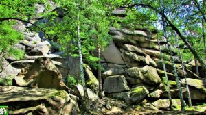 СКУЛЬПТУР ПРИРОДА