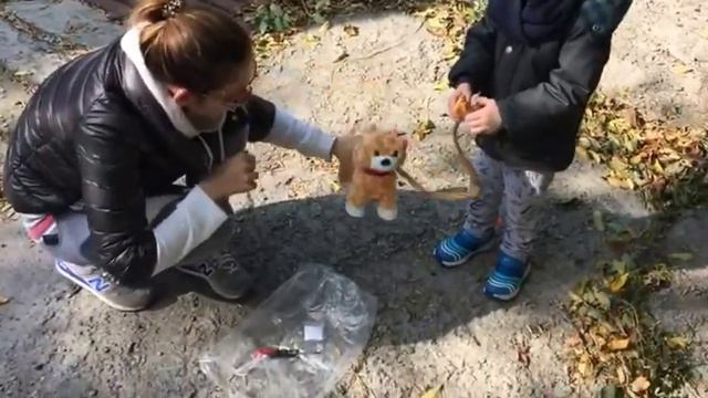 Купили собаку смотреть онлайн