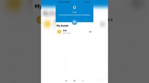 Pomo Withdraw Pomo Wallet Create Pomo Withdraw MetaMask Wallet Pomo Listing Binance Exchange Launch