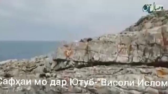 Видео хои мусулмони аз Олимон