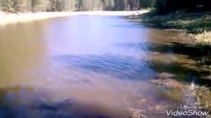 Рыбалка. Рыбачим с бреднем на "пятом" заливе. И немного неудачной охоты.))