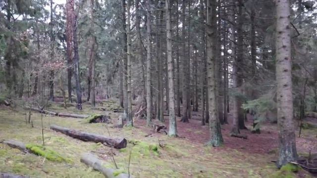 How should I deal with deprecated libraries? смотреть онлайн