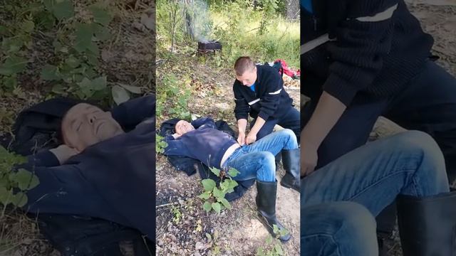Садамия 2019