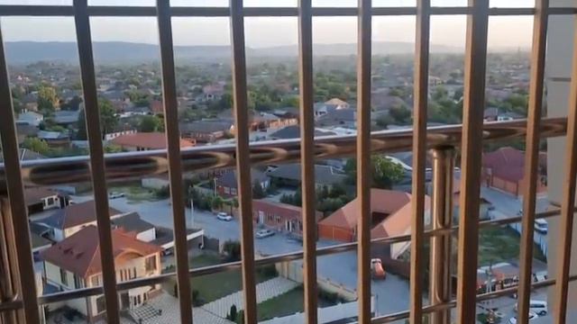 МЕСЯЦ ВОДИТЕЛЬСКОГО СТАЖА🤣‼️ШО Я ИМЕЮ ВАМ СКАЗАТЬ🤭🚦🚦 смотреть онлайн