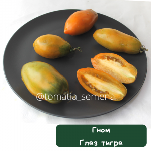 Гном Глаз тигра