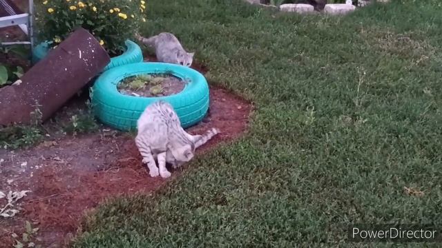 Жизнь в глубинке России. Как живут в деревне. Приезжал сын. Стираю по старинке . Вечером в деревне смотреть онлайн