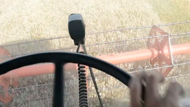 Будни тракториста ( моя работа ) смотреть онлайн