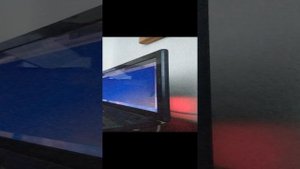 играю на виндолс