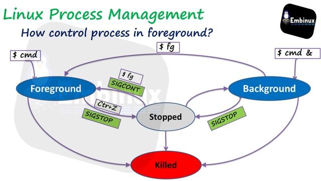 12-Linux Process Management | Signals (kill, pkill, killall) смотреть онлайн