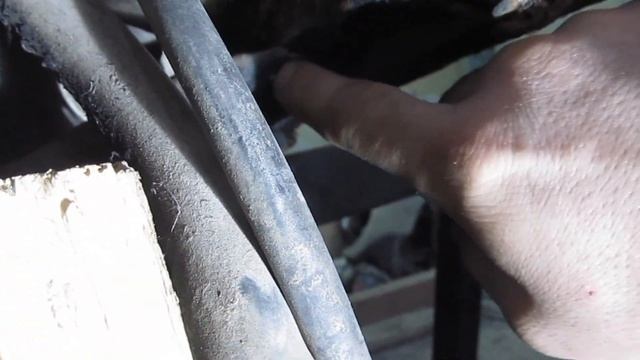 Автомобиль SMA оживление мертвеца смотреть онлайн