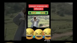 Карова каратэ ?????